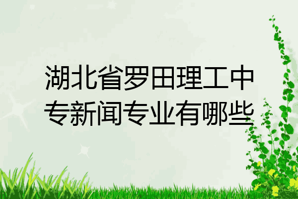 湖北省罗田理工中专新闻专业有哪些