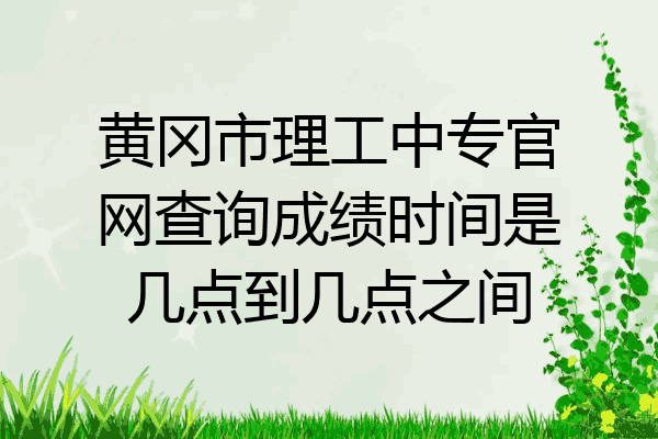 黄冈市理工中专官网查询成绩时间是几点到几点之间