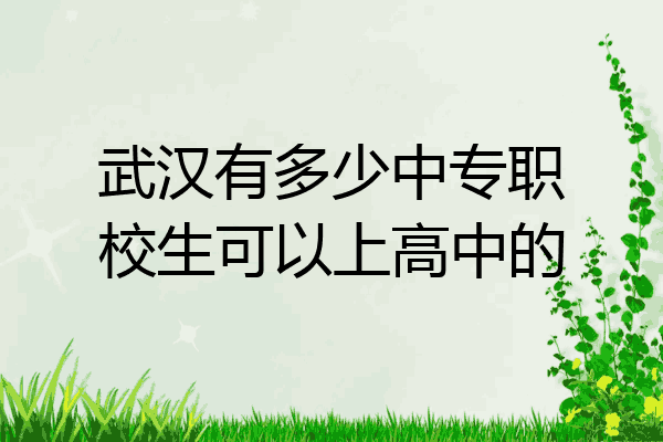 武汉有多少中专职校生可以上高中的