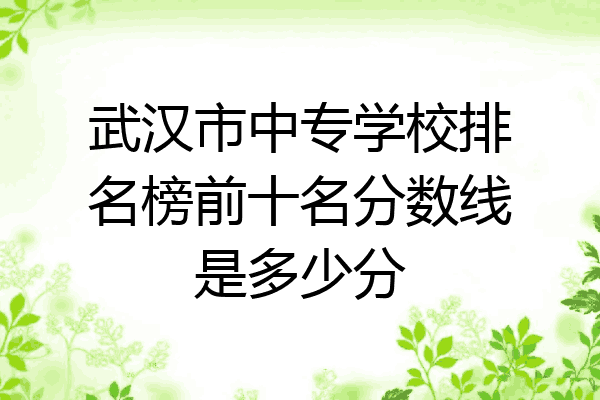 武汉市中专学校排名榜前十名分数线是多少分