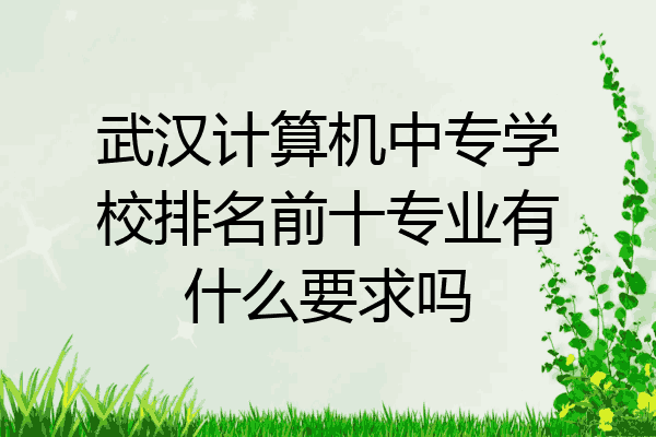 武汉计算机中专学校排名前十专业有什么要求吗
