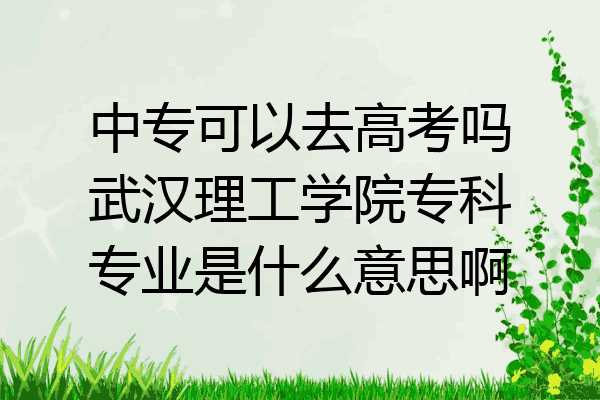 中专可以去高考吗武汉理工学院专科专业是什么意思啊