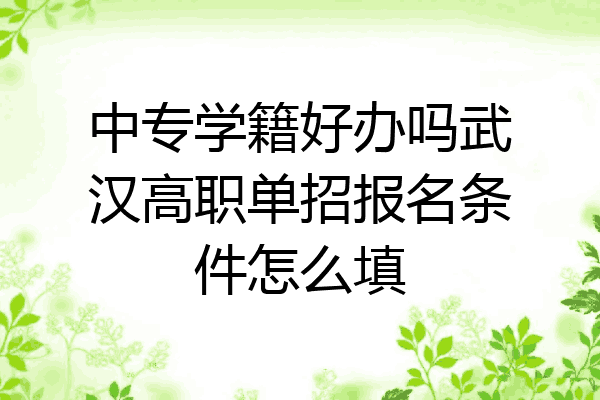 中专学籍好办吗武汉高职单招报名条件怎么填