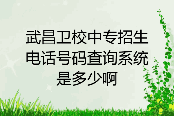 武昌卫校中专招生电话号码查询系统是多少啊