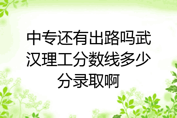 中专还有出路吗武汉理工分数线多少分录取啊