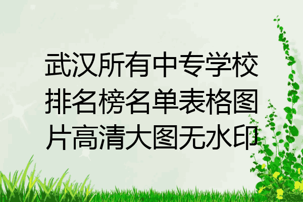 武汉所有中专学校排名榜名单表格图片高清大图无水印