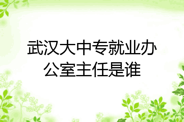 武汉大中专就业办公室主任是谁