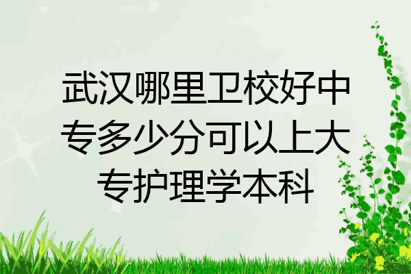 武汉哪里卫校好中专多少分可以上大专护理学本科