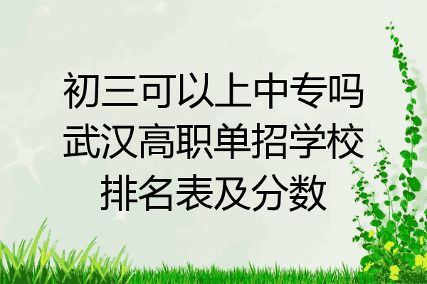 初三可以上中专吗武汉高职单招学校排名表及分数