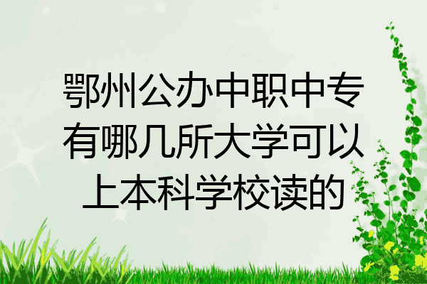 鄂州公办中职中专有哪几所大学可以上本科学校读的