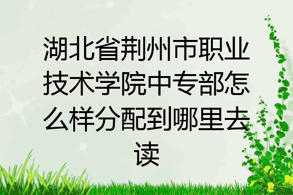 湖北省荆州市职业技术学院中专部怎么样分配到哪里去读