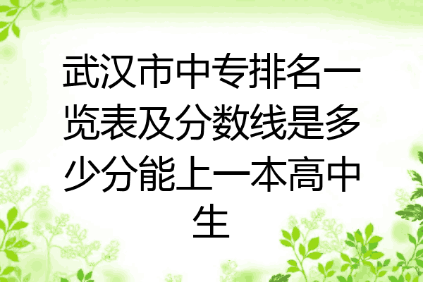 武汉市中专排名一览表及分数线是多少分能上一本高中生