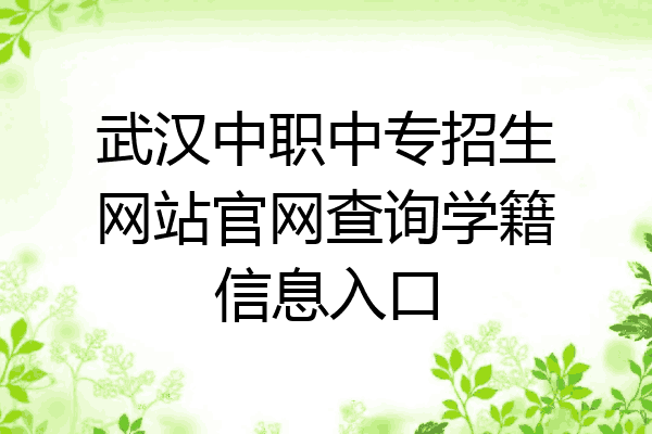 武汉中职中专招生网站官网查询学籍信息入口