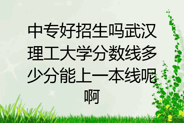 中专好招生吗武汉理工大学分数线多少分能上一本线呢啊