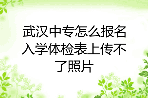 武汉中专怎么报名入学体检表上传不了照片