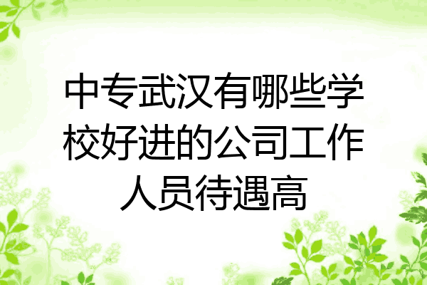 中专武汉有哪些学校好进的公司工作人员待遇高