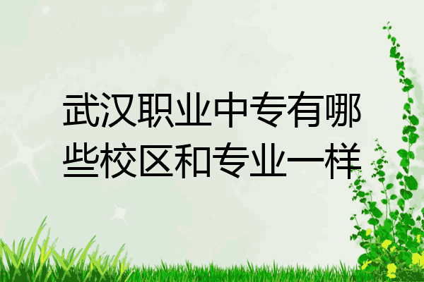 武汉职业中专有哪些校区和专业一样