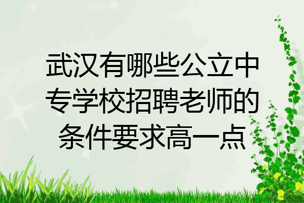 武汉有哪些公立中专学校招聘老师的条件要求高一点