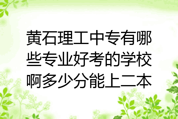 黄石理工中专有哪些专业好考的学校啊多少分能上二本