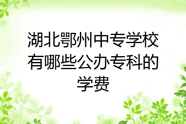 湖北鄂州中专学校有哪些公办专科的学费