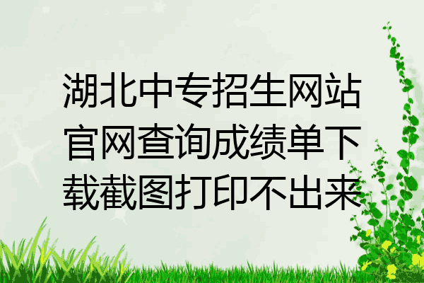 湖北中专招生网站官网查询成绩单下载截图打印不出来
