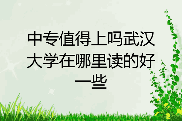 中专值得上吗武汉大学在哪里读的好一些