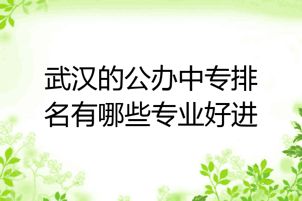 武汉的公办中专排名有哪些专业好进