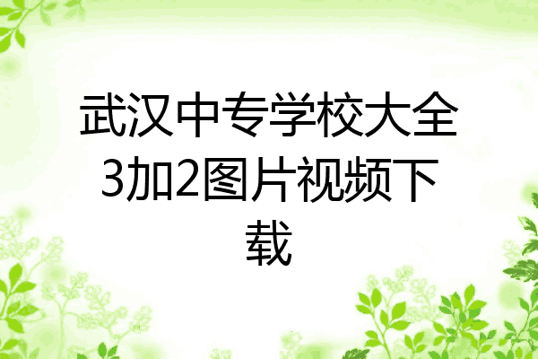 武汉中专学校大全3加2图片视频下载