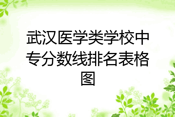 武汉医学类学校中专分数线排名表格图