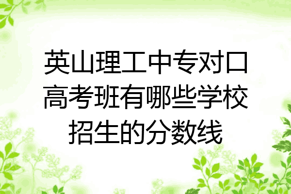 英山理工中专对口高考班有哪些学校招生的分数线