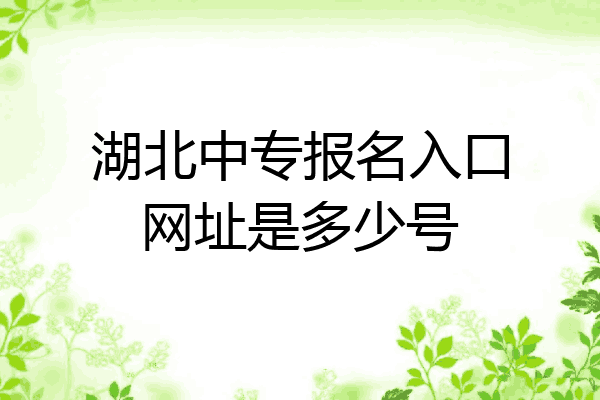 湖北中专报名入口网址是多少号
