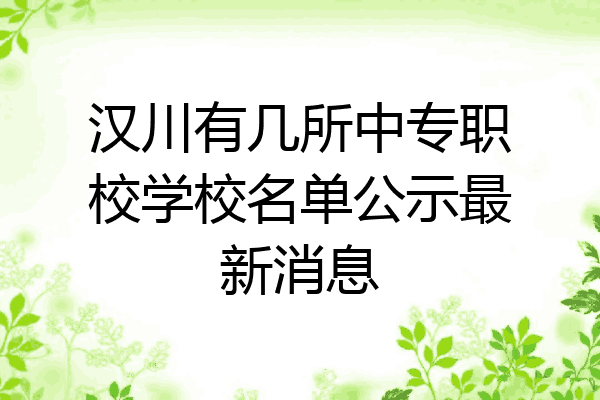 汉川有几所中专职校学校名单公示最新消息