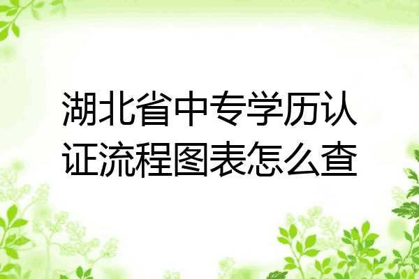 湖北省中专学历认证流程图表怎么查
