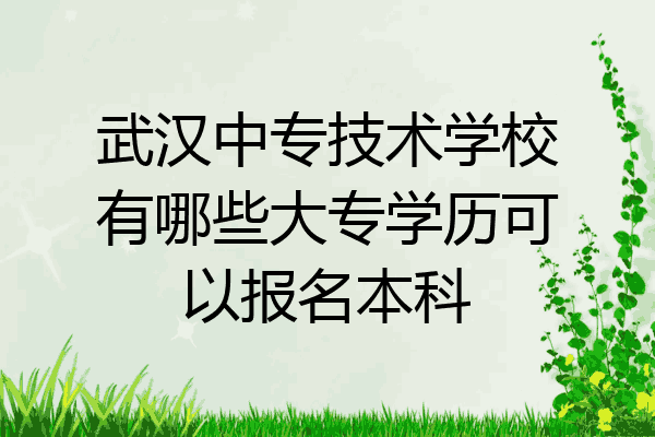 武汉中专技术学校有哪些大专学历可以报名本科