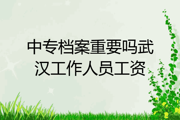 中专档案重要吗武汉工作人员工资