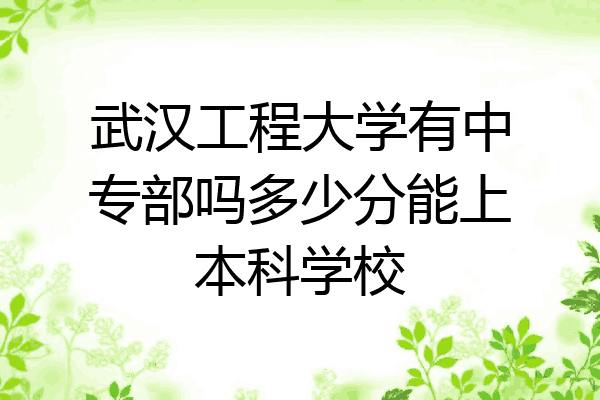 武汉工程大学有中专部吗多少分能上本科学校