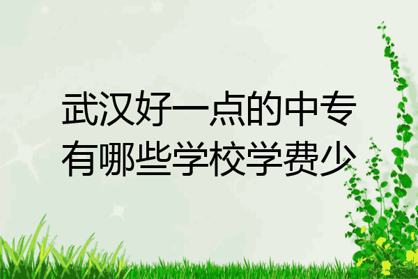 武汉好一点的中专有哪些学校学费少