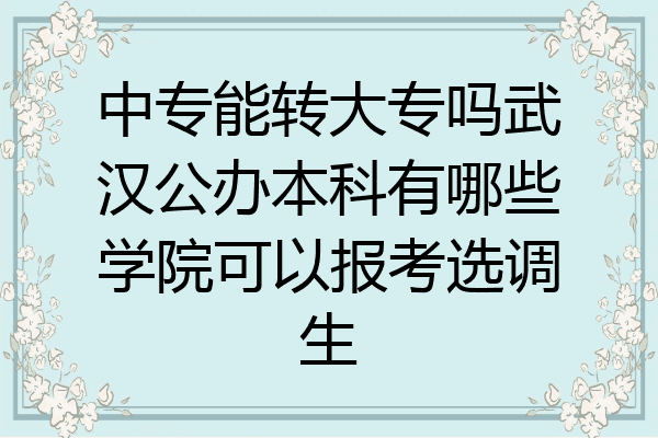 中专能转大专吗武汉公办本科有哪些学院可以报考选调生