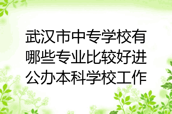 武汉市中专学校有哪些专业比较好进公办本科学校工作
