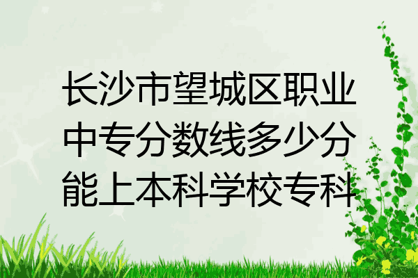 长沙市望城区职业中专分数线多少分能上本科学校专科