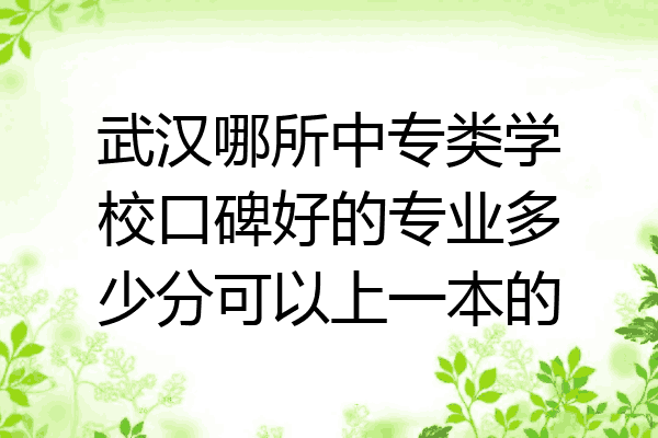 武汉哪所中专类学校口碑好的专业多少分可以上一本的