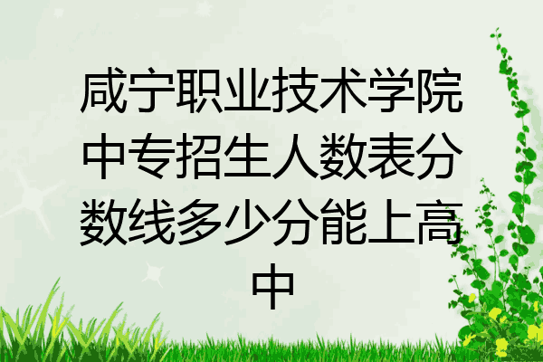 咸宁职业技术学院中专招生人数表分数线多少分能上高中