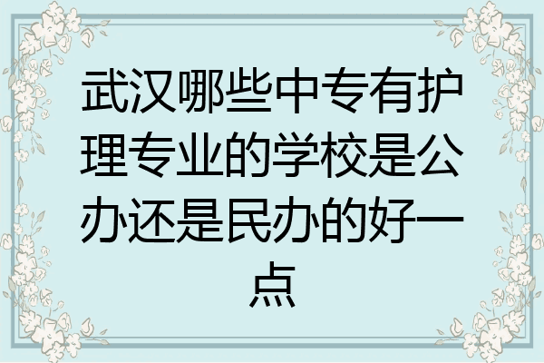 武汉哪些中专有护理专业的学校是公办还是民办的好一点
