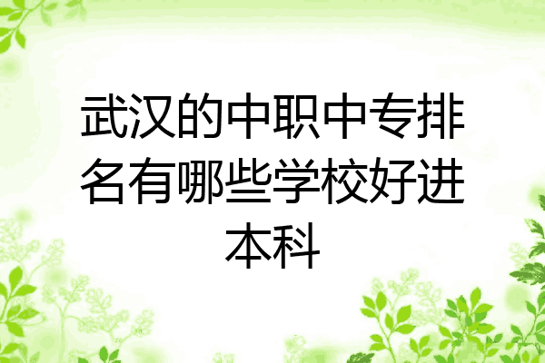 武汉的中职中专排名有哪些学校好进本科