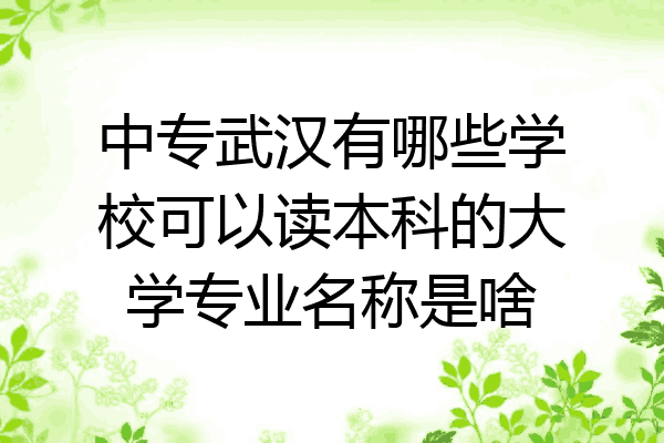 中专武汉有哪些学校可以读本科的大学专业名称是啥
