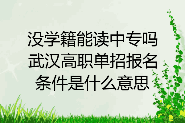 没学籍能读中专吗武汉高职单招报名条件是什么意思