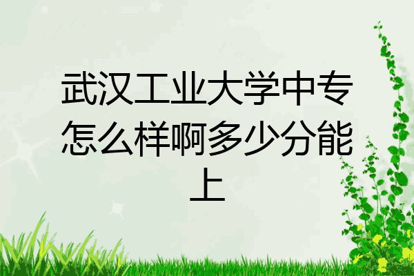 武汉工业大学中专怎么样啊多少分能上