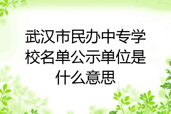 武汉市民办中专学校名单公示单位是什么意思