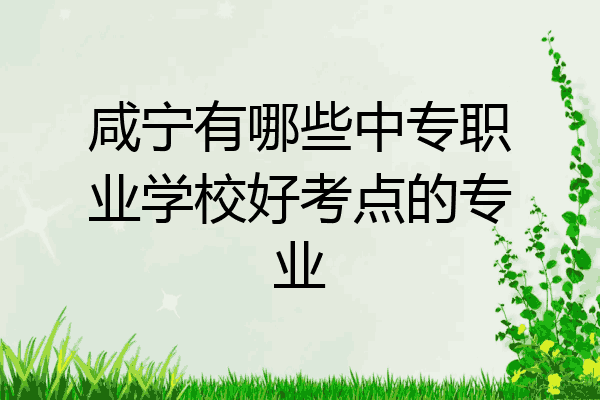咸宁有哪些中专职业学校好考点的专业