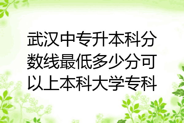 武汉中专升本科分数线最低多少分可以上本科大学专科